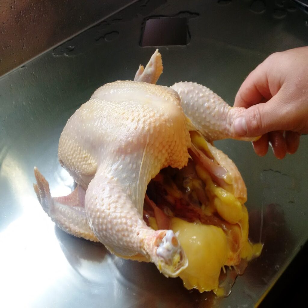 okazały kurczak świeżo po obróbce poubojowej 