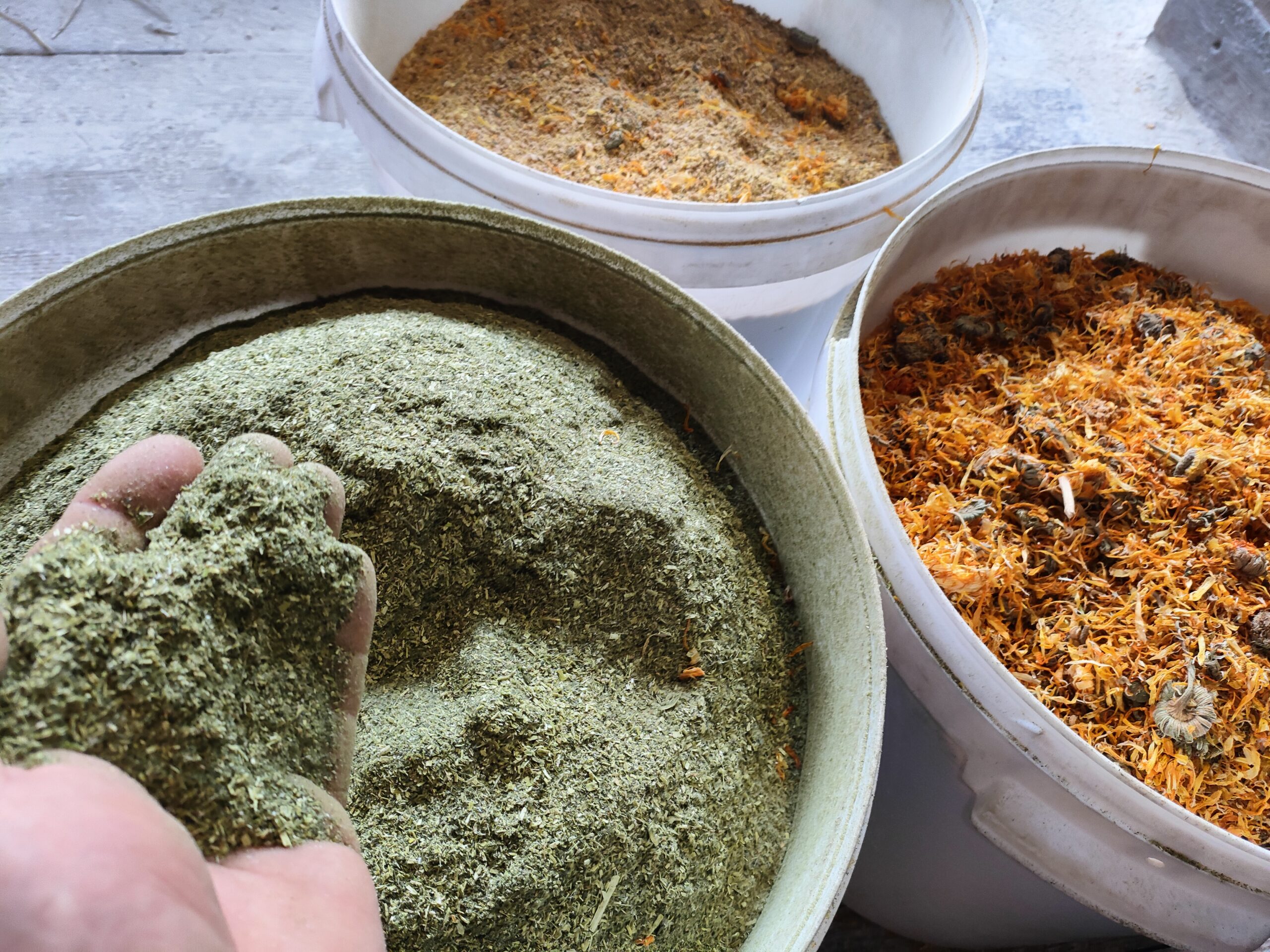 Susz ziołowy dla drobiu – mieszanka pokrzywy, oregano i nagietka