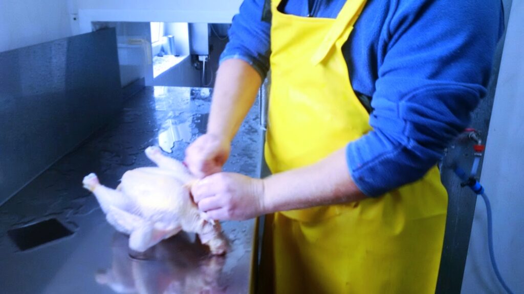 rolnik stoi przy stole i patroszy okazałego kurczaka, którego sam wyhodował